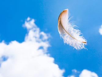Floating feather in the sky.